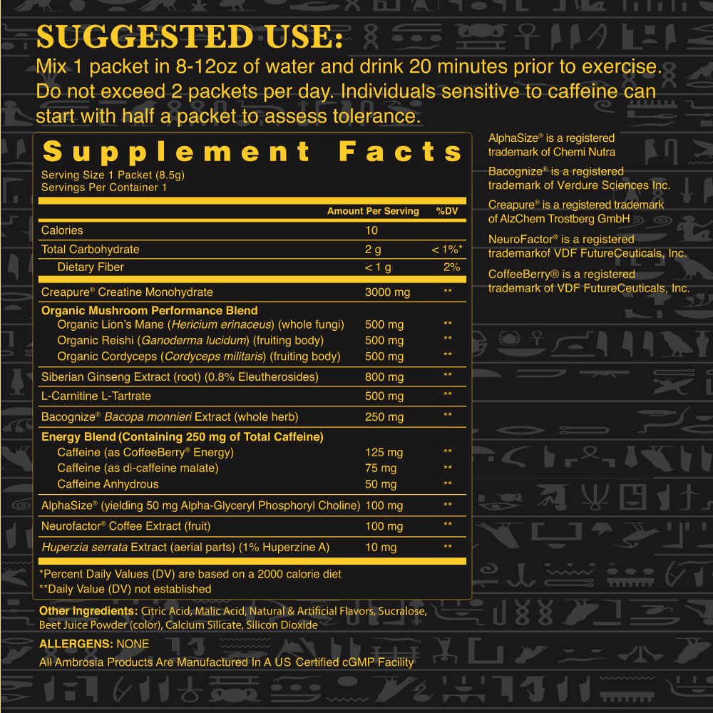 Kinetic Mushroom Enhanced Pre-Workout - Bundler - Image 3