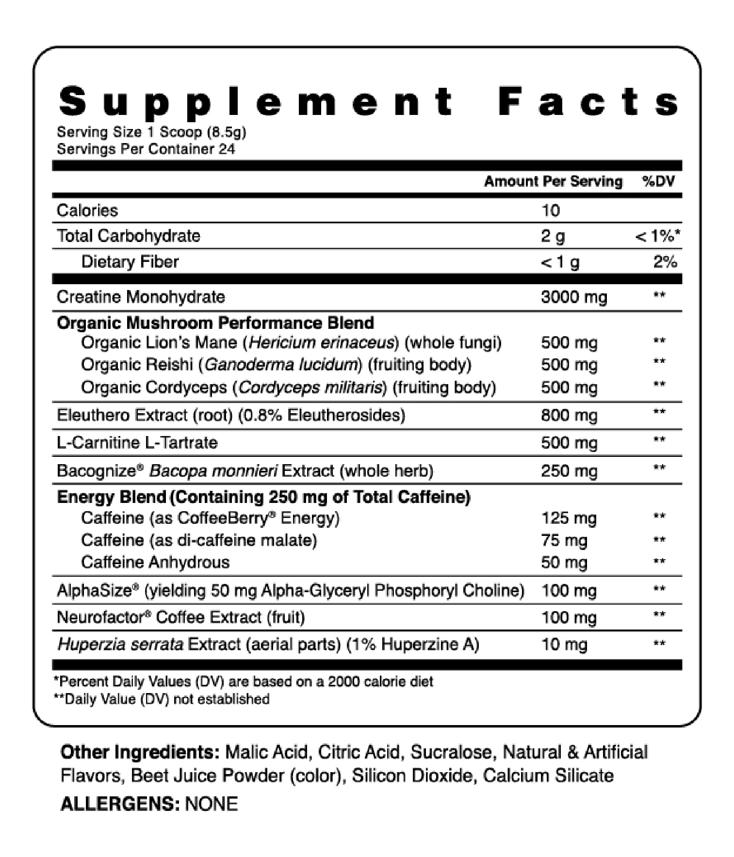 Kinetic™ - Mushroom Enhanced Pre-Workout - Image 5