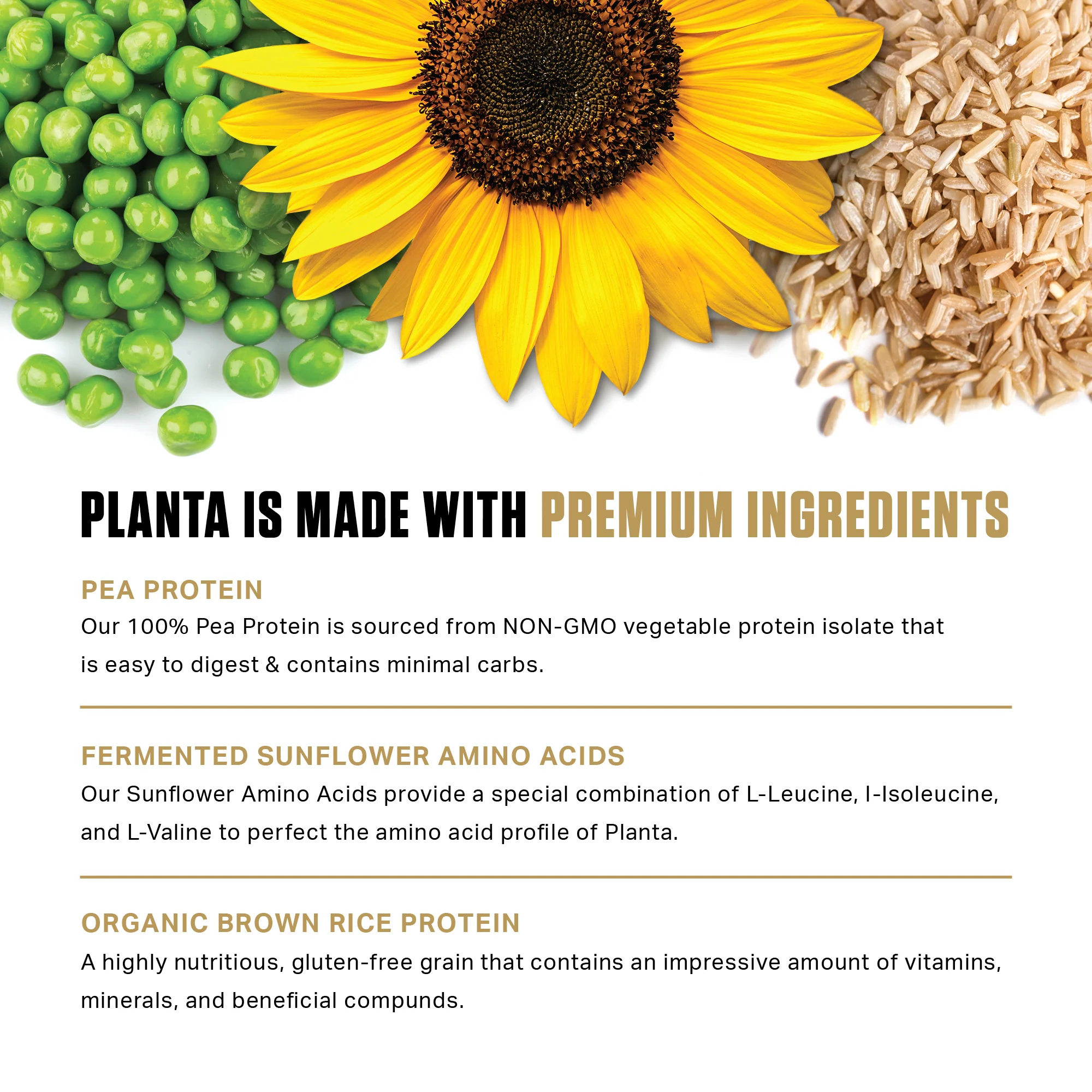 Planta® - Premium Plant Protein (25 Servings) - Image 36