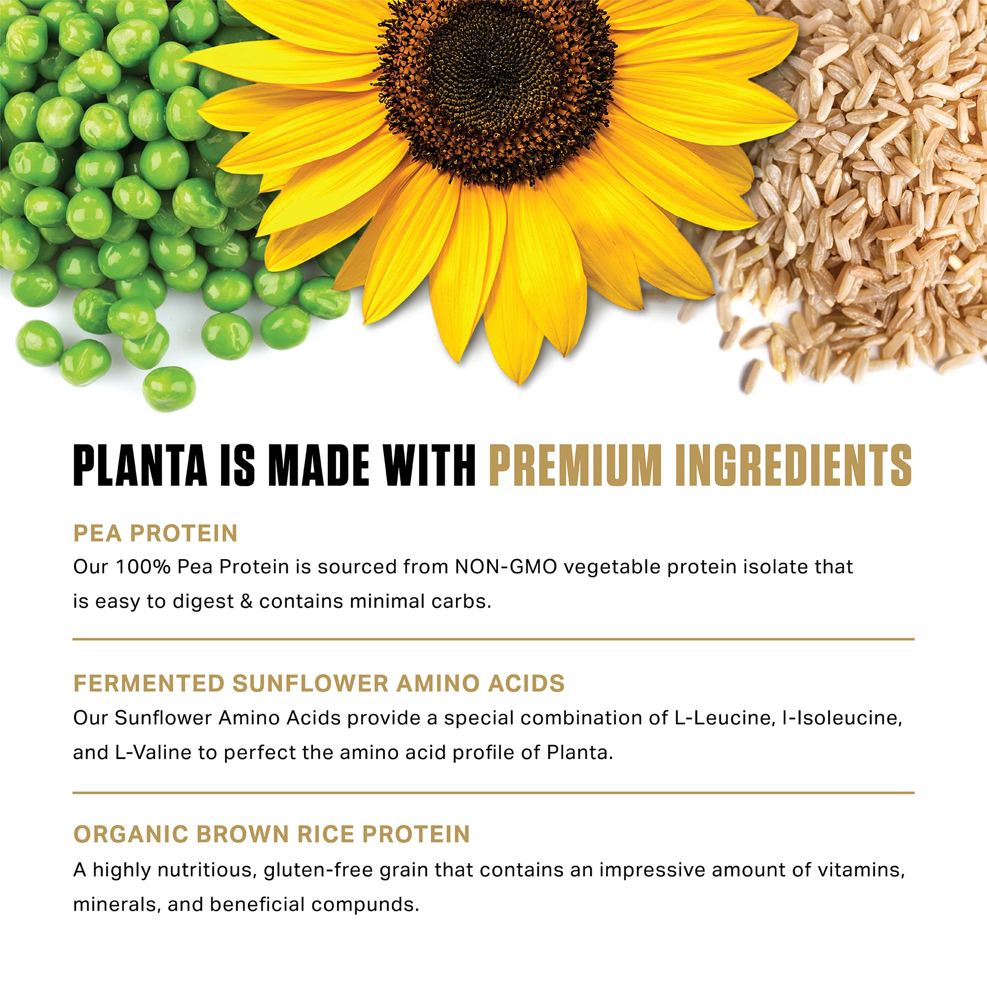 Planta® - Premium Plant Protein (25 Servings) - Image 67
